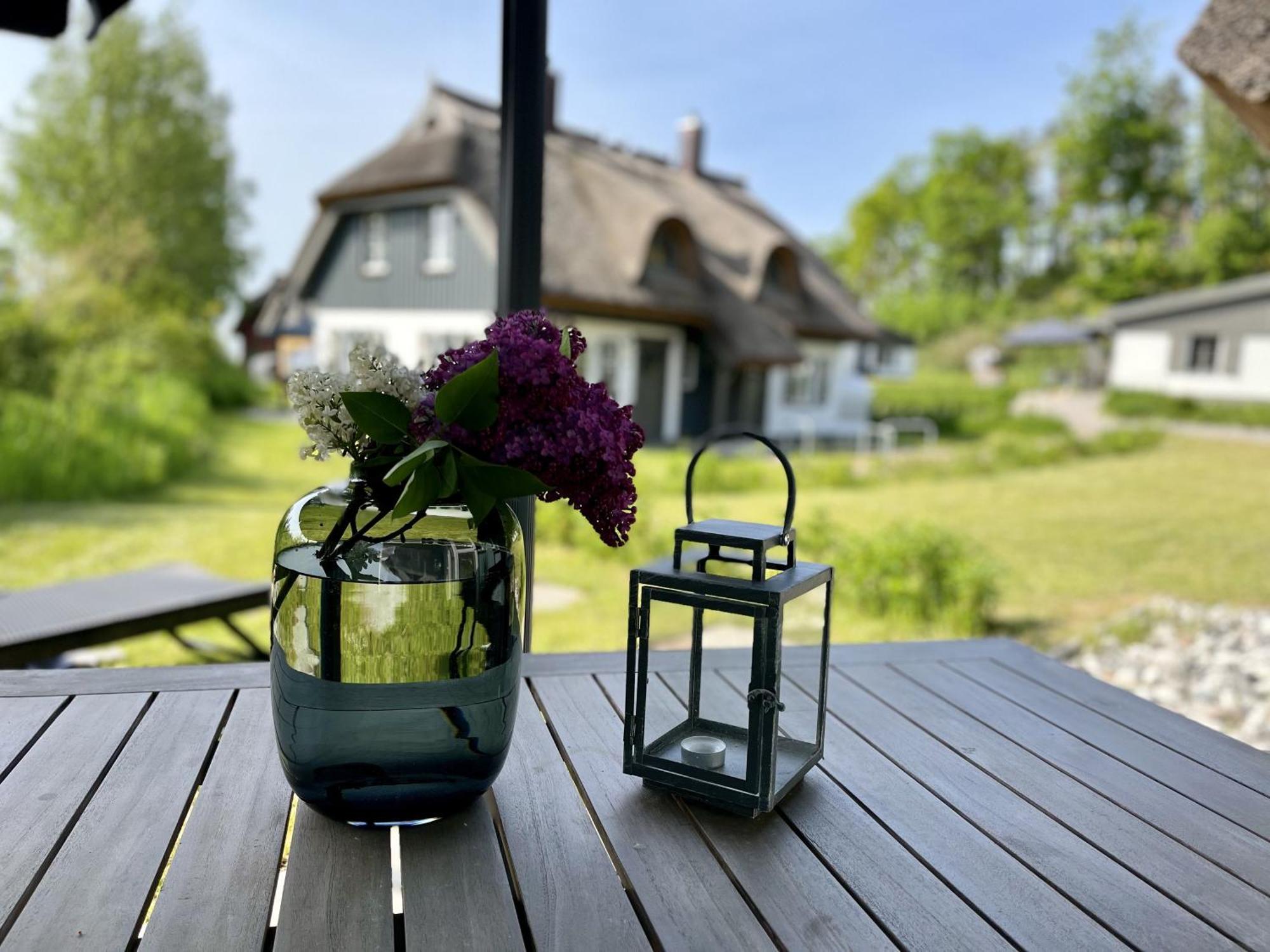 Ferienhaus Strandflieder 05 Feriendorf Klein Stresow Ruegen By Ruyastay Putbus Eksteriør bilde