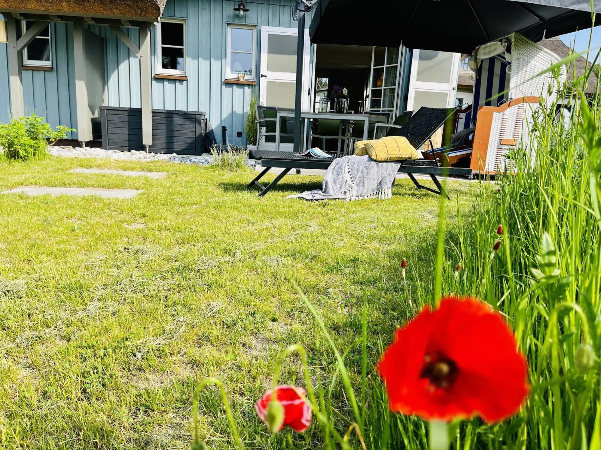 Ferienhaus Strandflieder 05 Feriendorf Klein Stresow Ruegen By Ruyastay Putbus Eksteriør bilde