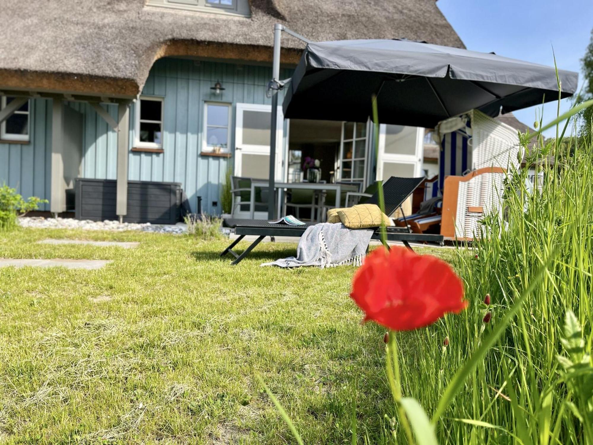 Ferienhaus Strandflieder 05 Feriendorf Klein Stresow Ruegen By Ruyastay Putbus Eksteriør bilde
